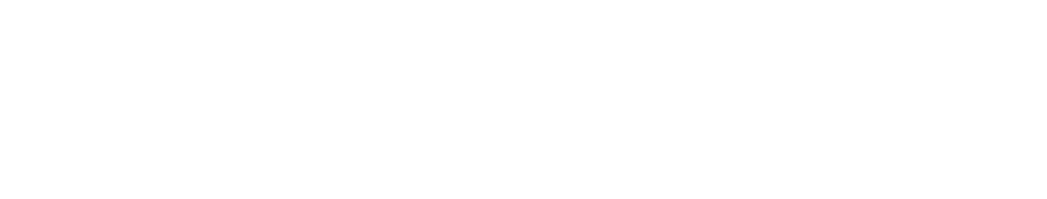 sürat logistics logo
